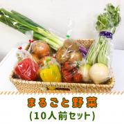終了:まるごと野菜(10人前セット)