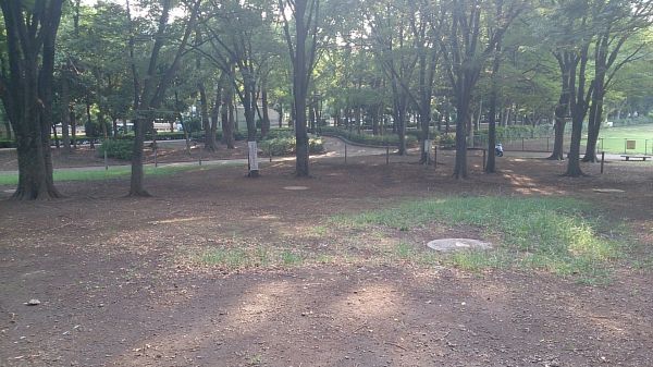 赤塚公園(板橋区)- 花見