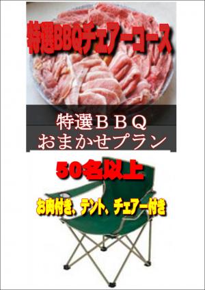 【ＳＮ－6】お任せ出張片付け特選BBQチェアコース50名以上（お一人様3200円）/