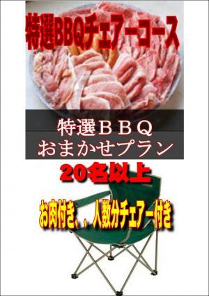 【Ｖ－27】お任せ出張片付け特選BBQチェアコース20名以上（お一人様4250円）/