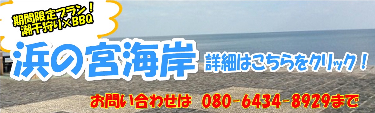 浜の宮海岸