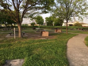 IMG_0269
