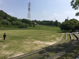 IMG_0437