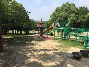 IMG_0448