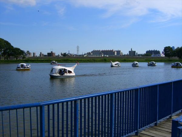 CIMG0087_R