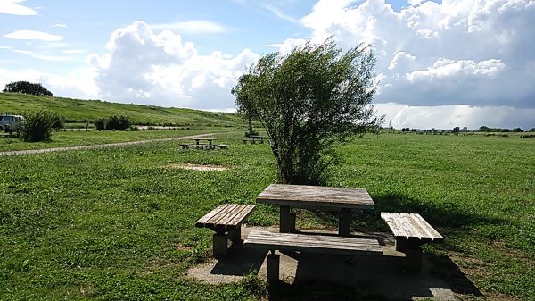 利根川ゆうゆう公園（我孫子市）