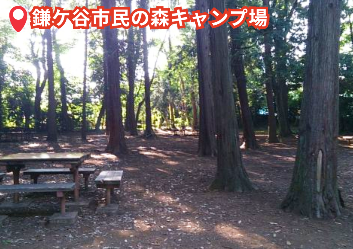 鎌ケ谷市民の森キャンプ場（千葉県・鎌ヶ谷市）BBQスポット
