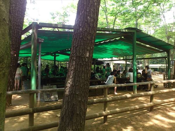 清水公園（野田市）