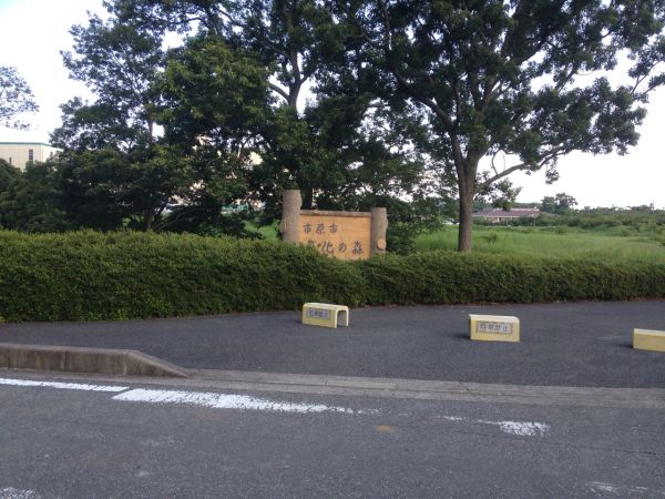 文化の森（市原市）