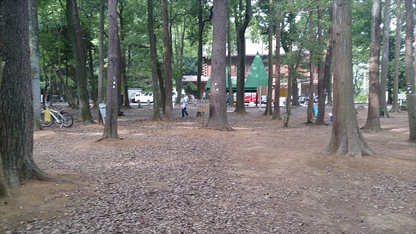 手賀の丘公園（柏市）- 花見