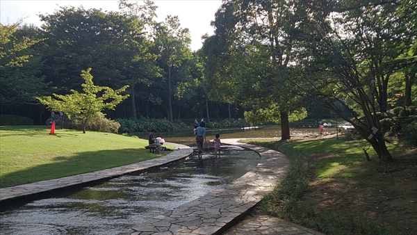 香澄公園（習志野市）