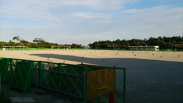 ふなばし三番瀬海浜公園 （船橋市）