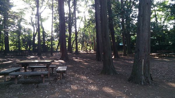 市民の森キャンプ場（鎌ヶ谷市）