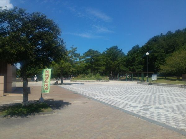 2015-08-27-11-46-43_photo