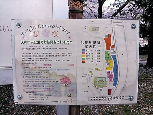 16-04-05-18-18-57-517_photo