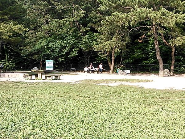 20160601_164230256