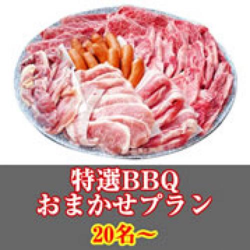 【020】特選おまかせBBQコース２０名以上（お一人様2890円）/