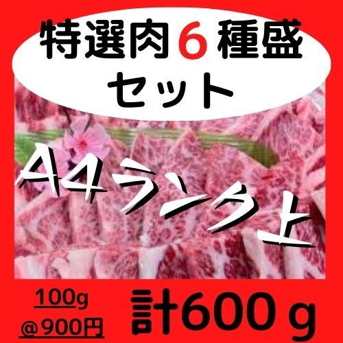 ∇倉庫で買取食材∇特選肉６種盛600gパック（約2人前）/