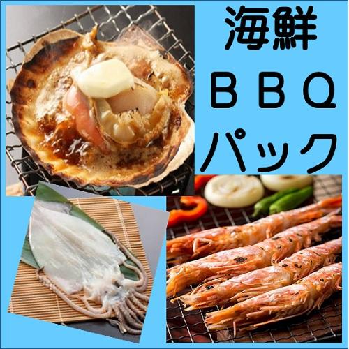 ◇各コースに追加◇海鮮ＢＢＱパック（約５人前）/