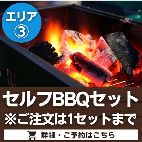 【エリア③】セルフBBQセット※ご注文は1セットに限る/
