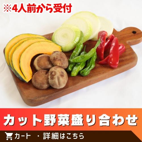 カット野菜盛り合わせ(1人前)