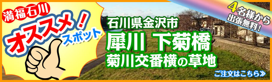 満福石川おすすめお花見スポット「犀川下菊橋」