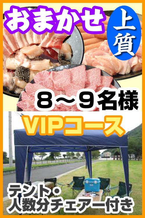 【145】お任せ出張片付け上質BBQＶＩＰコース8名～9名（お一人様4880円）/