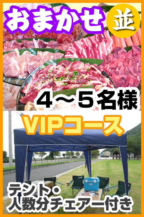 【135】お任せ出張片付け並BBQＶＩＰコース4名～5名（お一人様4380円）/