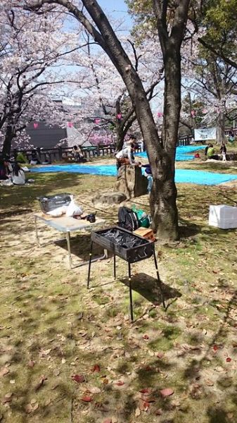 IMG_0536