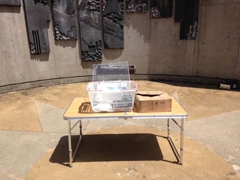 1936240_789907917777637_9067992862164436357_n