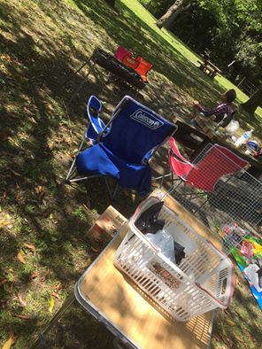 13178907_797505143684581_3715339493718276086_n