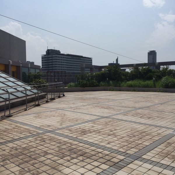 S__43687939