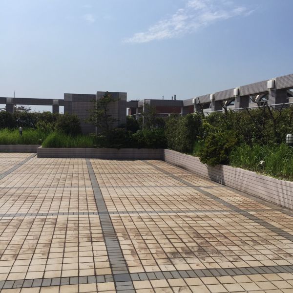 S__43687940
