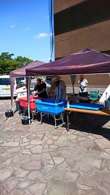 13892049_842055545896207_8305869988056582468_n