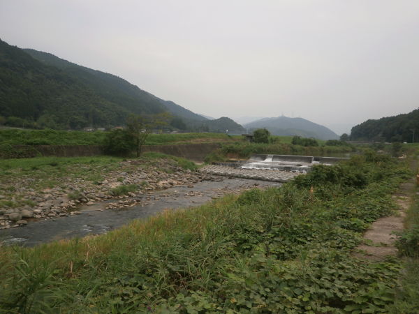 P9100387