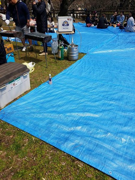 17499330_1042926485809111_6138813476199536248_n