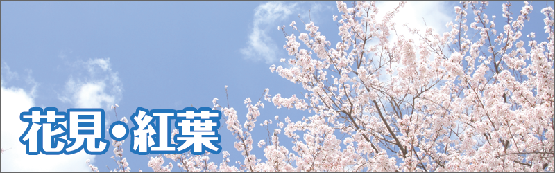 花見・紅葉