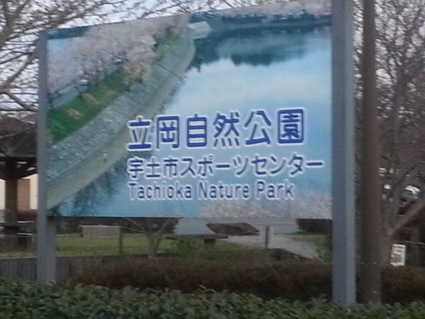 立岡自然公園　宇土市