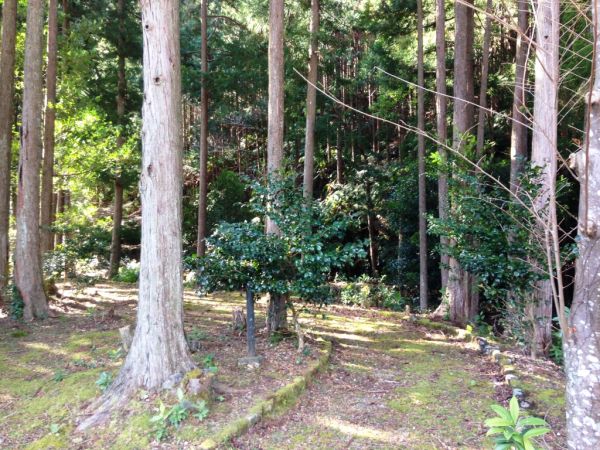 キャンプin海山2