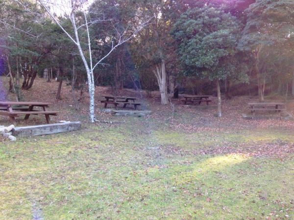 ともやま公園2