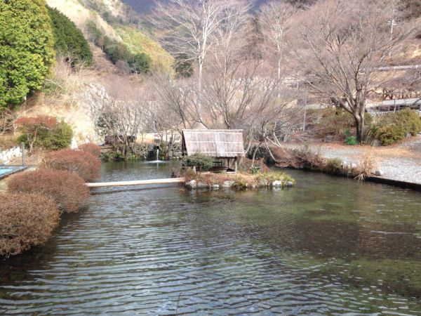 つつじの里荒滝12