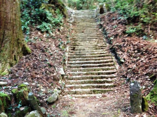 矢頭中宮キャンプ場5
