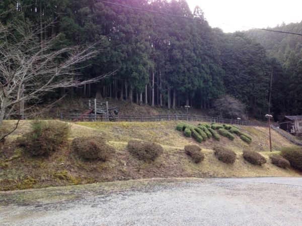 わかすぎの里3