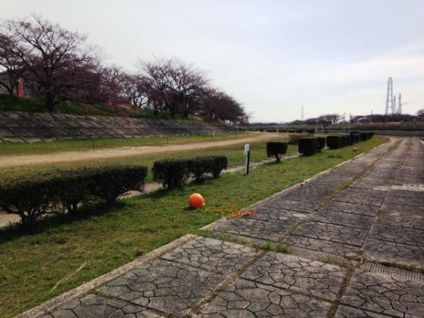 海蔵川桜祭り2