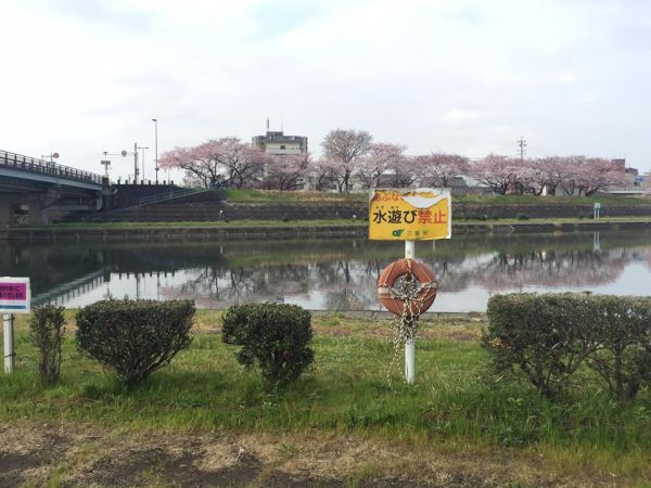海蔵川06
