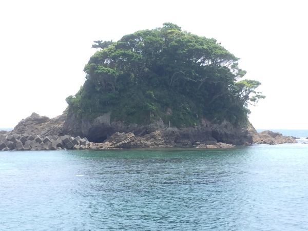 ファイル_007