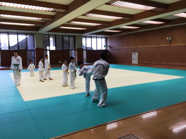 テコンドー17