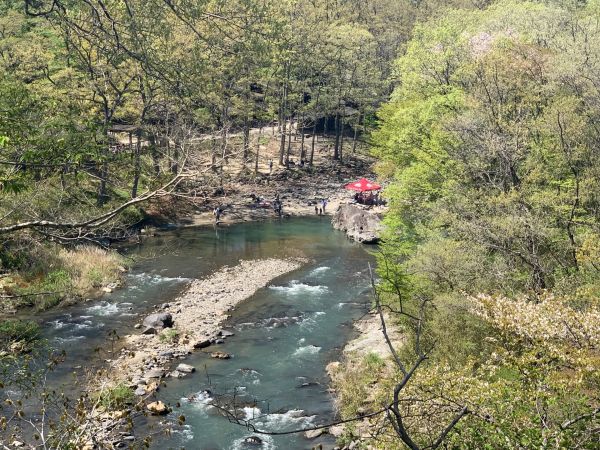 C27EC7E3-2511-401D-B716-9078DADE9E5B