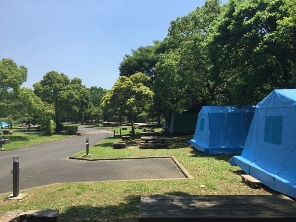 大崎自然公園（東彼杵郡）【６名様から】【キャンプ】【雨OK】