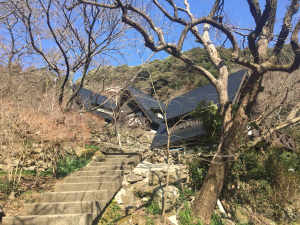 富川万年の森（諫早市）【4名様から】【花見】